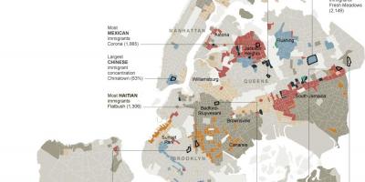 ニューヨーク市立民族の地図